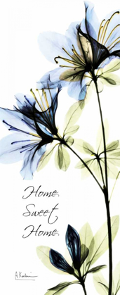 Picture of BLUE AZALEA - HOME