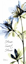 Picture of BLUE AZALEA - HOME