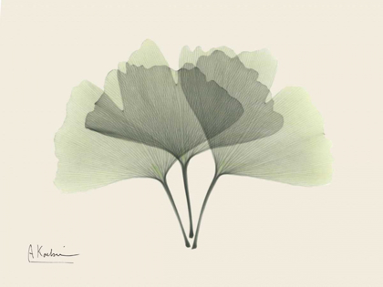 Picture of GINKGO ON BEIGE