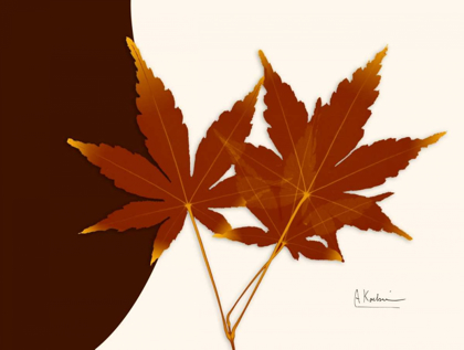 Picture of JAPANESE MAPLE ON BROWN AND BEIGE