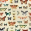 Picture of BUTTERFLY