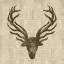 Picture of DEER 1