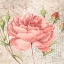 Picture of FLOWERS