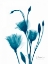 Picture of BOUQUET OF GENTIAN IN BLUE