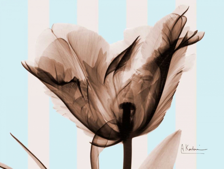 Picture of SINGLE TULIP BROWN ON BLUE