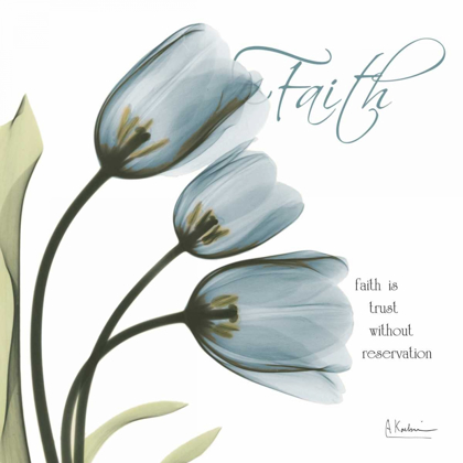Picture of TULIPS FAITH