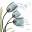 Picture of TULIPS FAITH
