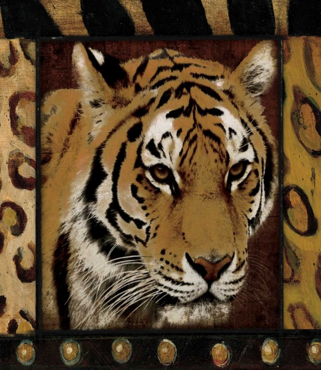 Picture of TIGER BORDERED