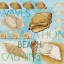 Picture of COLLAGED SHELLS MATE