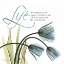 Picture of SWAYING TULIPS  BLUE - LIFE