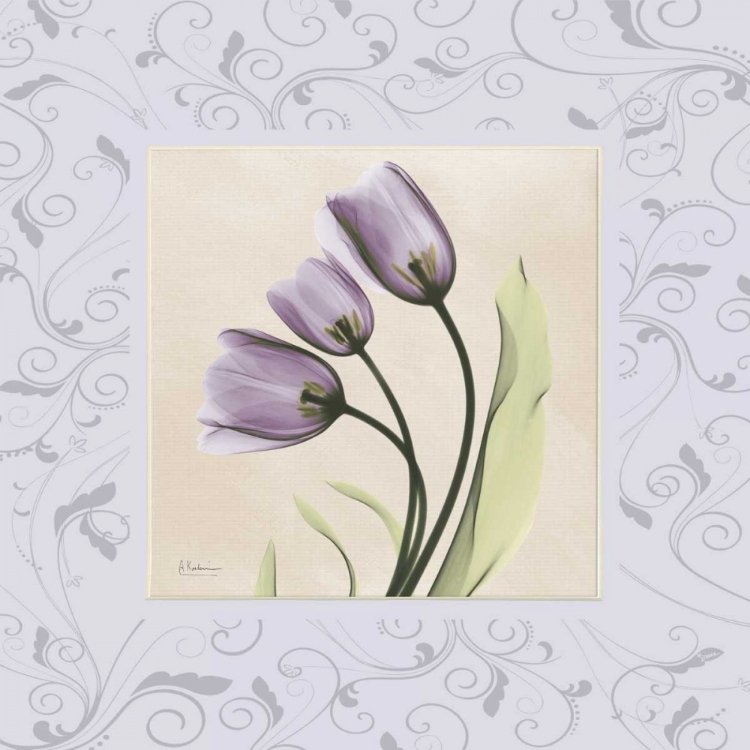 Picture of PURPLE TULIPS ON PURPLE DAMASK