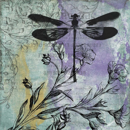 Picture of DRAGONFLY FLORALS