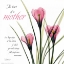 Picture of LOVE CROCUS C37