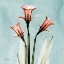 Picture of DAFFODIL BELIEVE