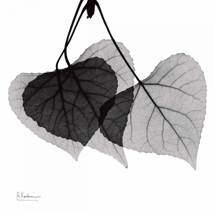 Picture of THREE LEAVES THREE