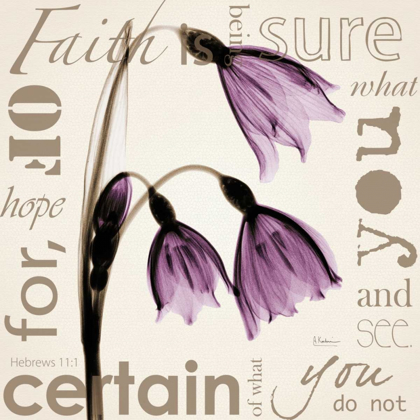 Picture of FAITH - VIOLET TULIPS