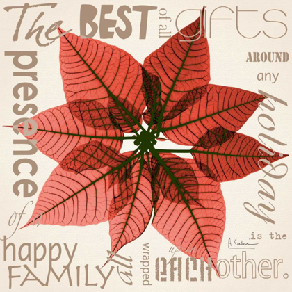 Picture of POINSETTIA