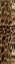 Picture of ANIMAL PRINT1