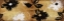 Picture of GOLD SKETCH FLORALS
