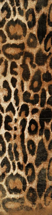 Picture of ANIMAL PRINT1