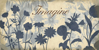 Picture of IMAGINE