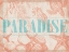 Picture of PARADISE SHELLS