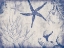 Picture of SEA LIFE IN NAVY 2