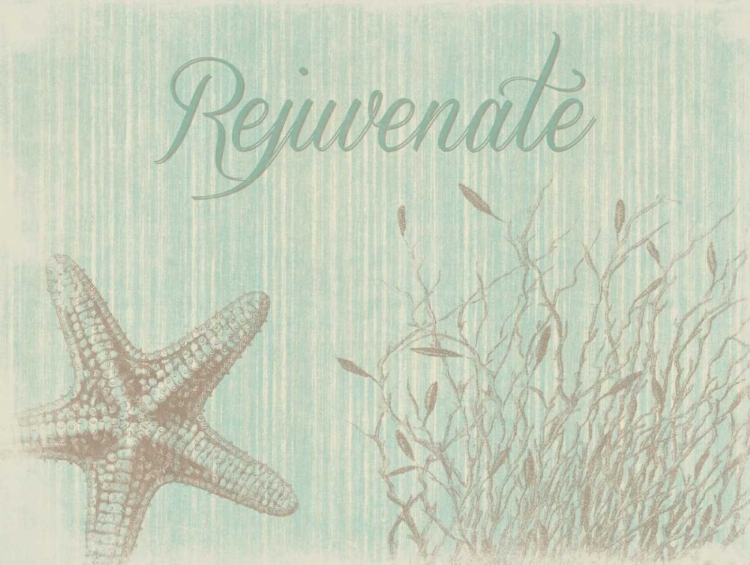 Picture of REJUVINATE