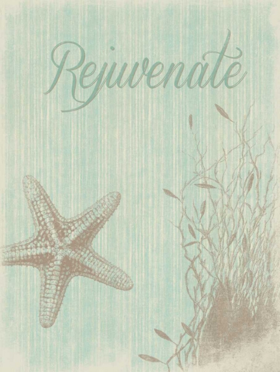 Picture of REJUVENATE