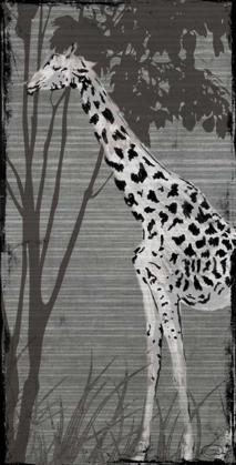 Picture of GREY GIRAFFE