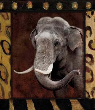 Picture of ELEPHANT BORDERED