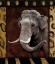 Picture of ELEPHANT BORDERED