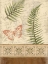 Picture of THE BUTTERFLY FERN