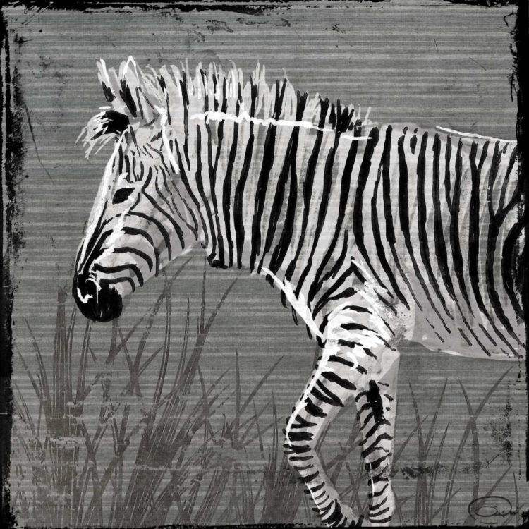 Picture of ZEBRA WALK