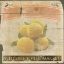 Picture of LEMONS 2