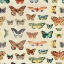 Picture of BUTTERFLY 2