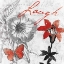 Picture of LAUGH FLORAL
