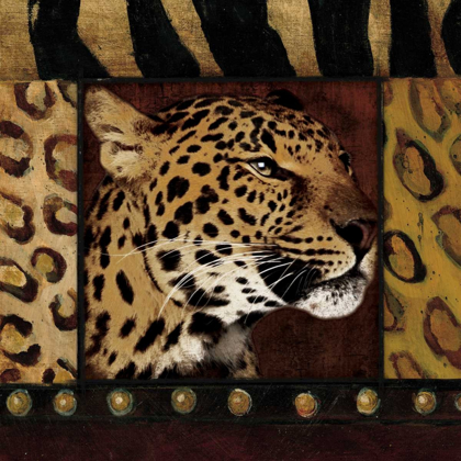 Picture of LEOPARD BORDERED
