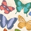 Picture of COLORFUL BUTTERFLIES