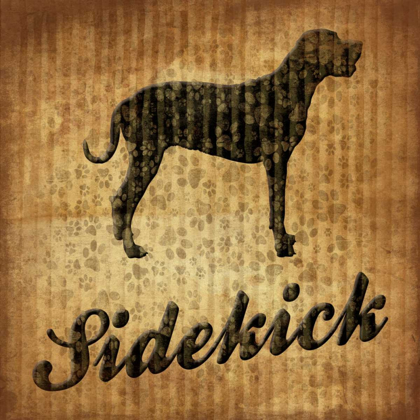 Picture of SIDEKICK