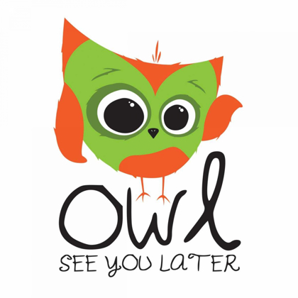 Picture of OWL SEE