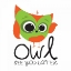 Picture of OWL SEE