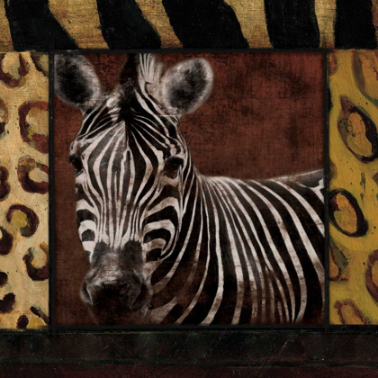 Picture of ZEBRA NO CIRCLES