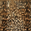 Picture of LEOPARD PATTERN