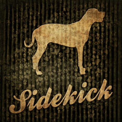 Picture of SIDEKICK