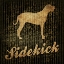 Picture of SIDEKICK