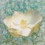 Picture of WIMSY FLORAL MATE