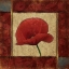 Picture of RED POPPIE 1