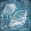 Picture of SHELL BUBBLES I
