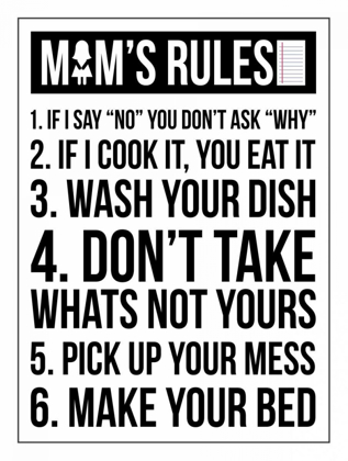 Picture of MOM RULES III